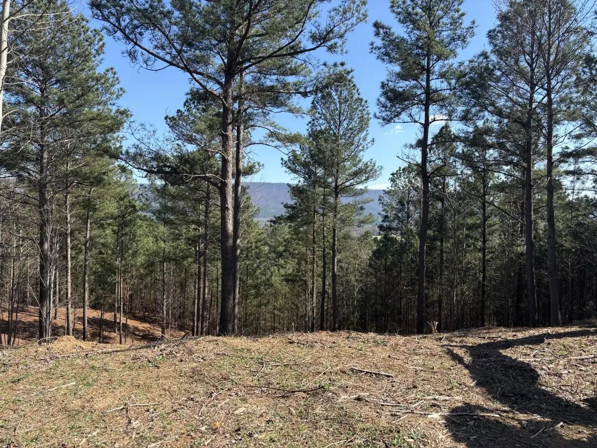 00 County Road 609, Etowah, TN 37331 - #1