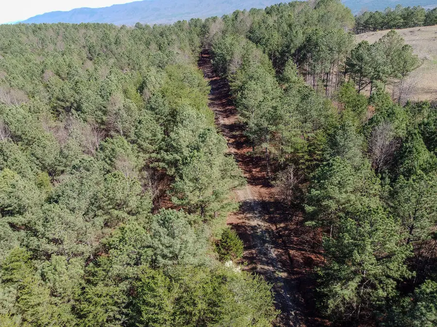 00 County Road 609, Etowah, TN 37331 - #2