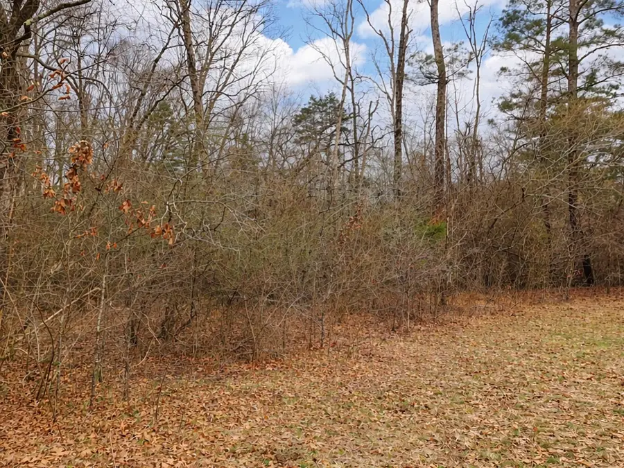 0 Spring Place Road Se, Cleveland, TN 37323 - #3