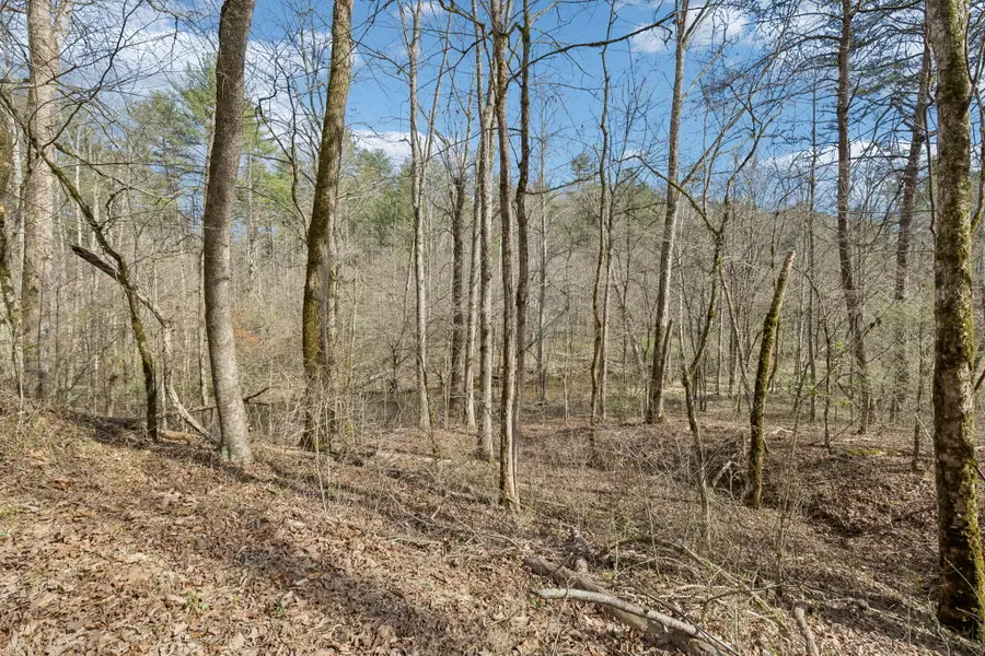 1489 Towee Pike, Reliance, TN 37369 - #2