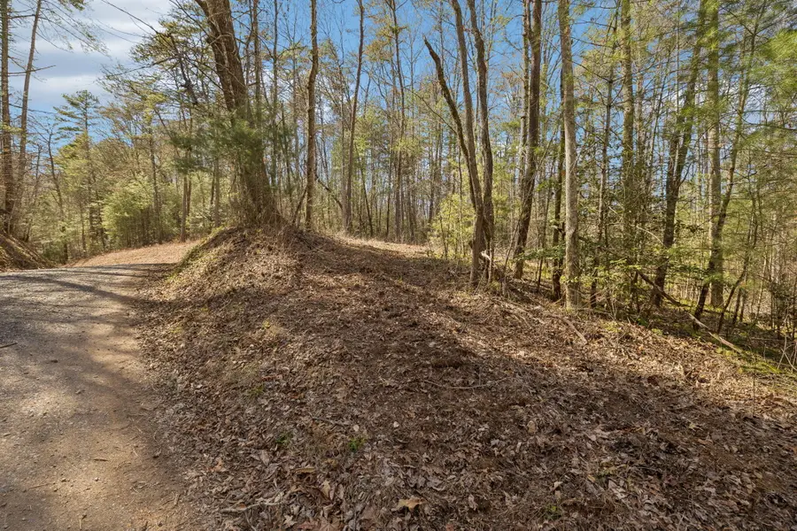 1489 Towee Pike, Reliance, TN 37369 - #3