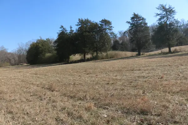 Lot 3 Highway 39, Athens, TN 37303