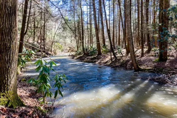 140 Luna Lane, Spring City, TN 37381