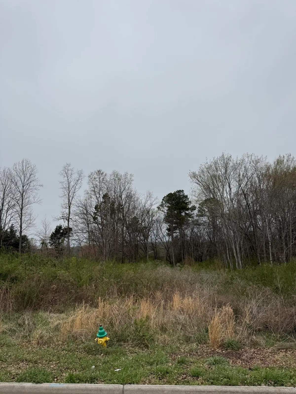 1.12 Ac Shadows Lawn, Athens, TN 37303 - #1