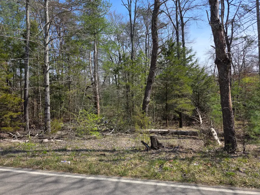 11302 Summer City Road, Spring City, TN 37381 - #2