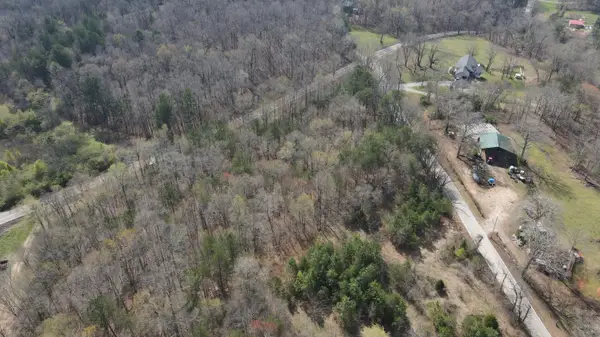 0 Andy Thomas Road, Sale Creek, TN 37373