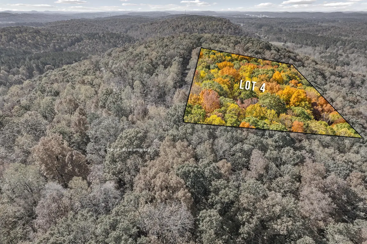 Lot 4 County Road 29, Riceville, TN 37370 - #1