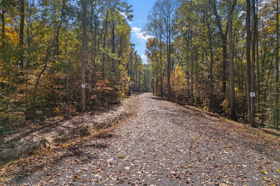 Lot 4 County Road 29, Riceville, TN 37370 - #2