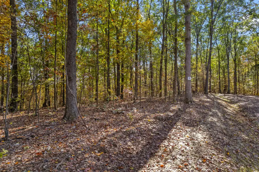 Lot 4 County Road 29, Riceville, TN 37370 - #3