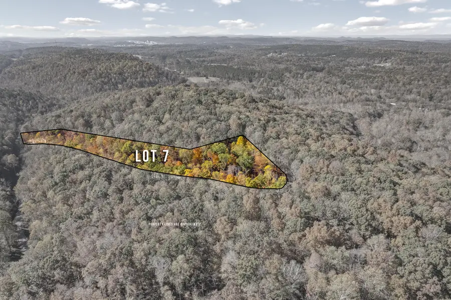 Lot 6 County Road 29, Riceville, TN 37370 - #3