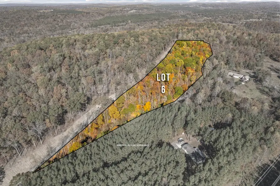 Lot 7 County Road 29, Riceville, TN 37370 - #2