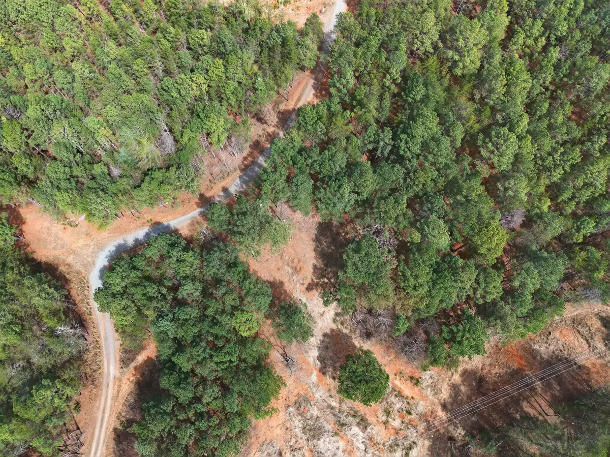 5333 Highway 64, Lot 1, Copperhill, TN 37317 - #1