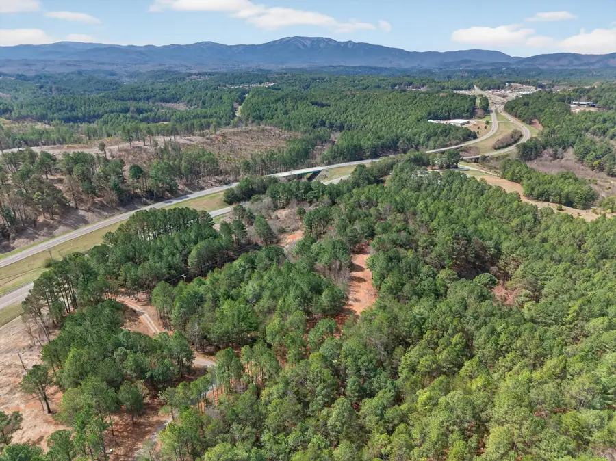 5333 Highway 64, Lot 4, Copperhill, TN 37317 - #3