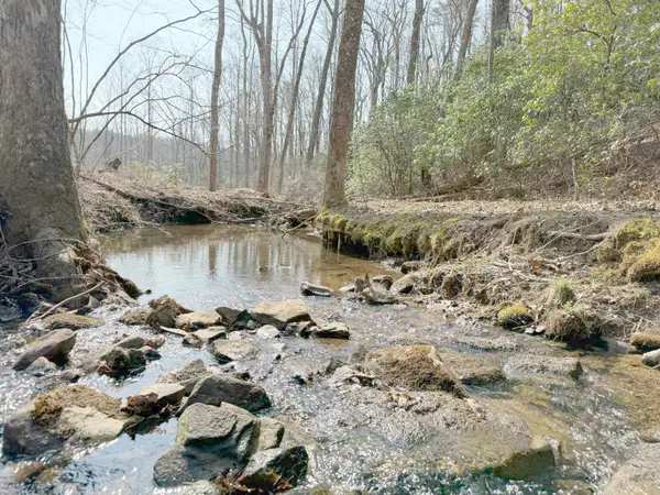 1065 Deerhead Road, Dunlap, TN 37327