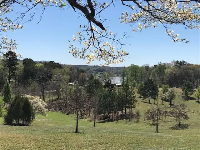 16653 N Star Circle, Sale Creek, TN 37373 - #2