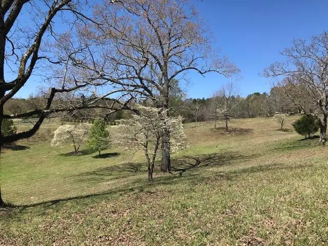 16653 N Star Circle, Sale Creek, TN 37373 - #3