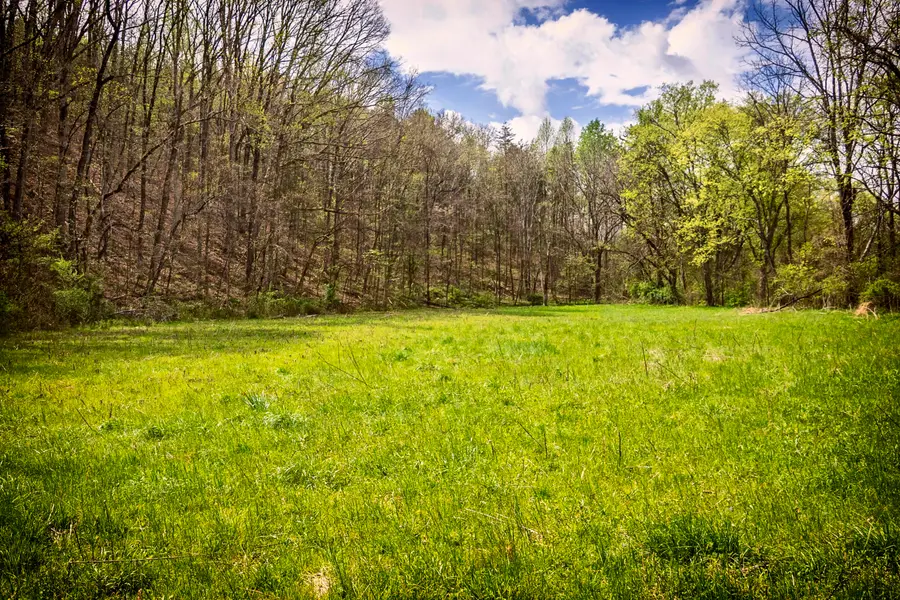 0000 Gothard Road, Sale Creek, TN 37373 - #3