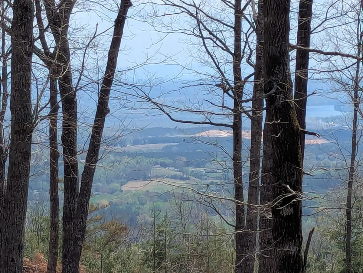 Lot 17 Duckwood Lane, Evensville, TN 37332 - #1