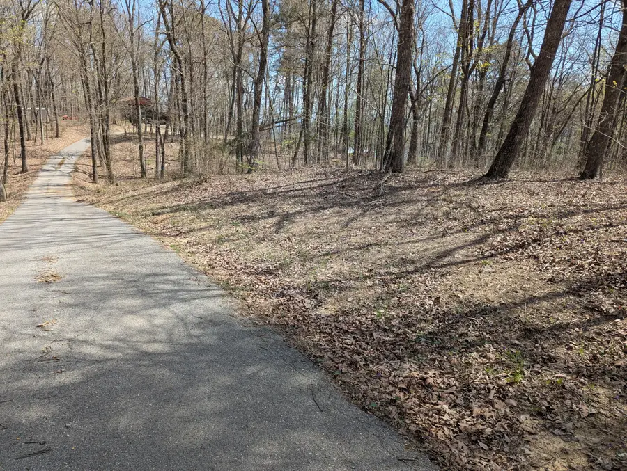 Lot 17 Duckwood Lane, Evensville, TN 37332 - #2