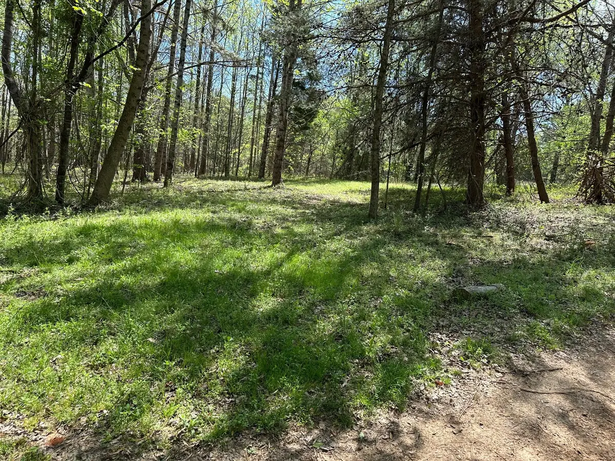 0 White Pine Rd Off Road, Harriman, TN 37748 - #1