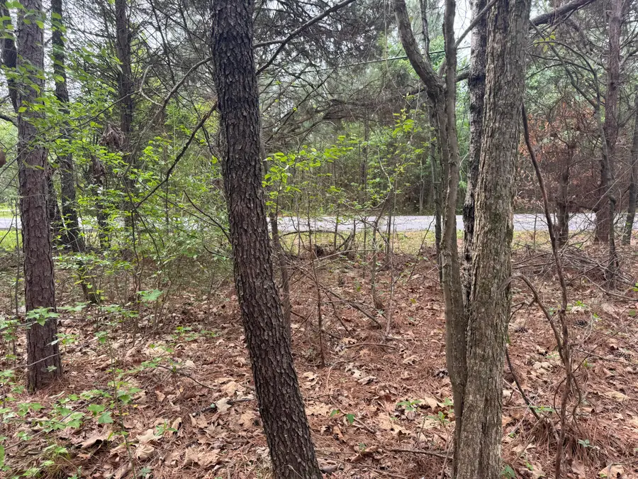 130 SE Trewhitt Drive Se, Cleveland, TN 37323 - #3