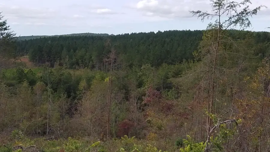 360 County Road 963, Calhoun, TN 37309 - #2