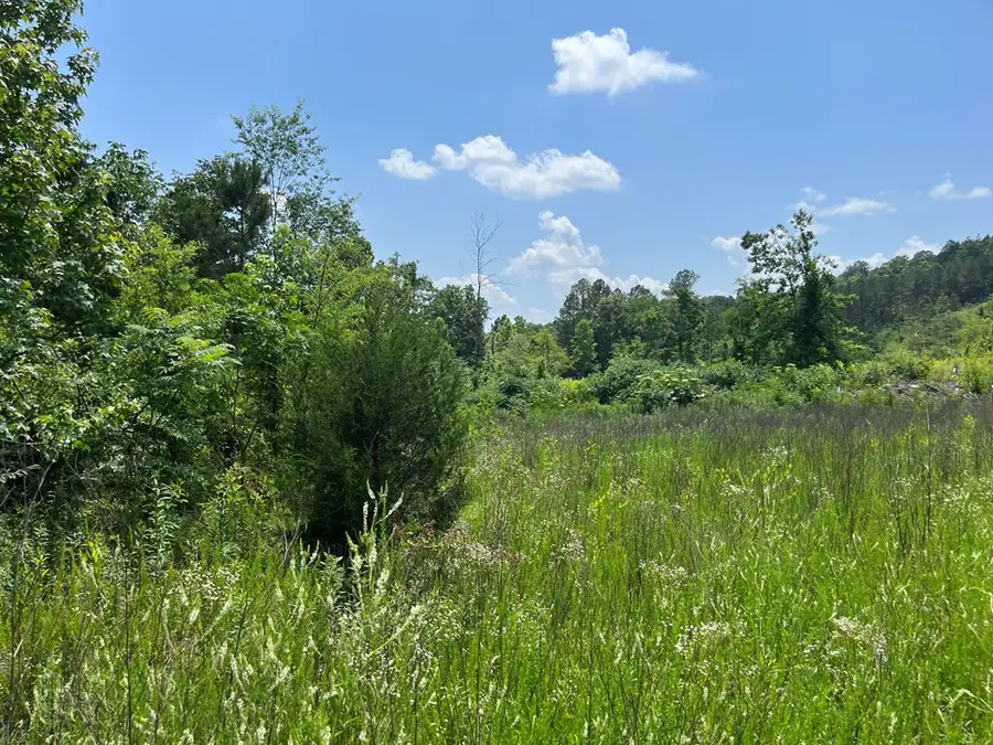 0 County Road 53, Athens, TN 37303 - #3