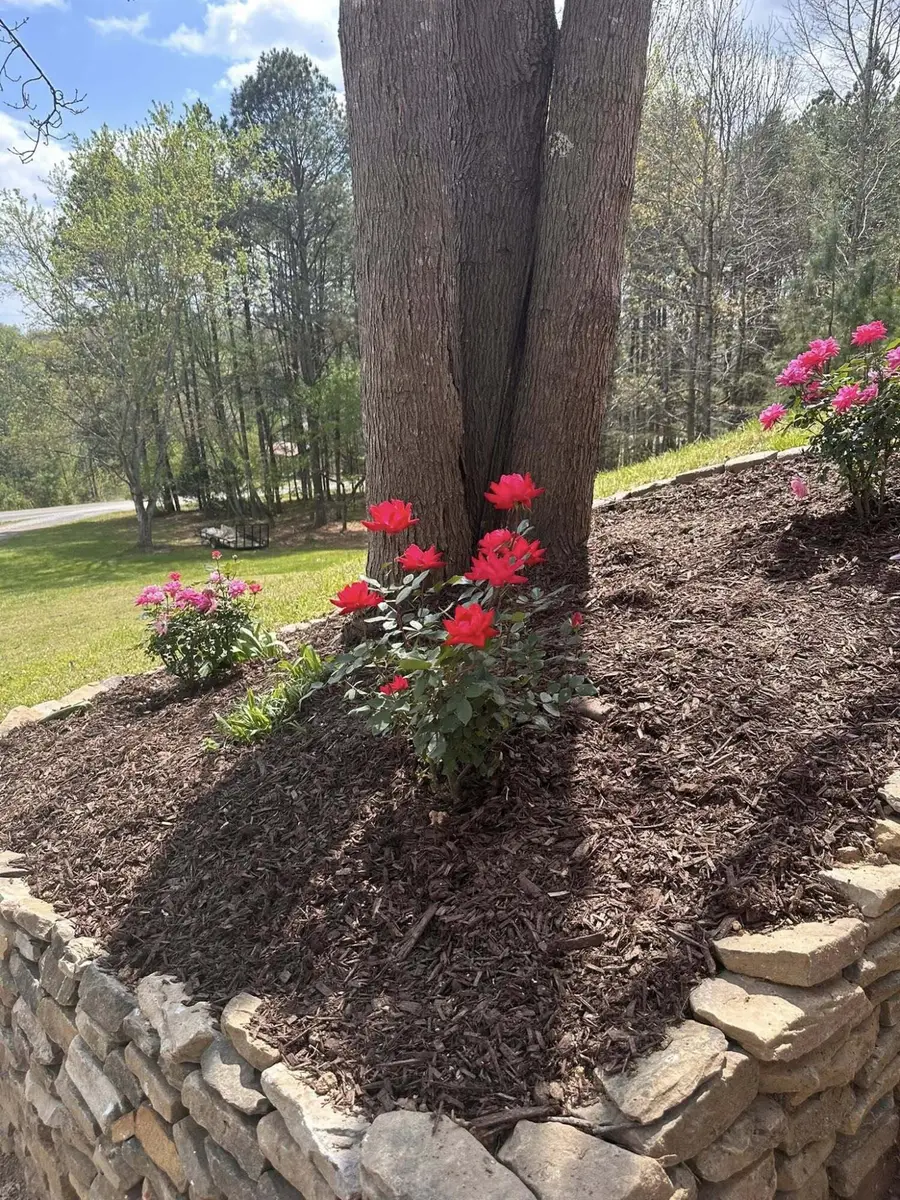 4121 Hidden Valley Road Nw, Cleveland, TN 37312 - #2