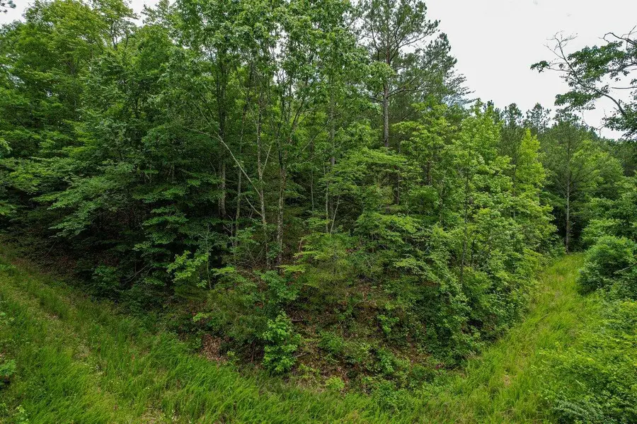 00 92 County Road, Athens, TN 37303 - #3