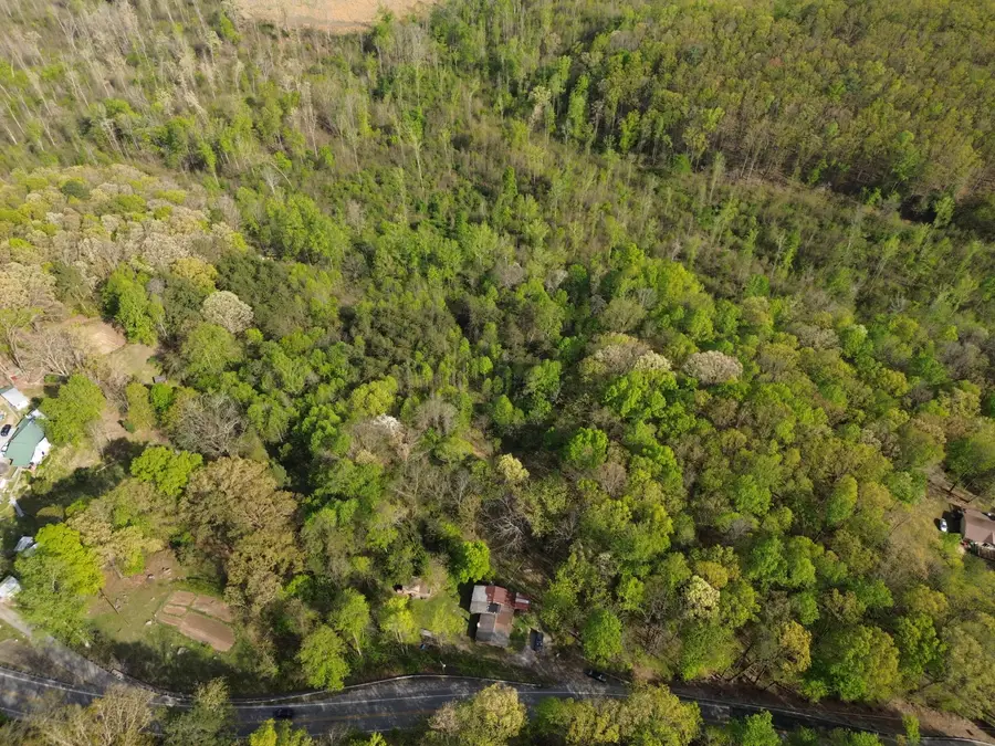 2990 Wassom Memorial Highway, Spring City, TN 37381 - #2