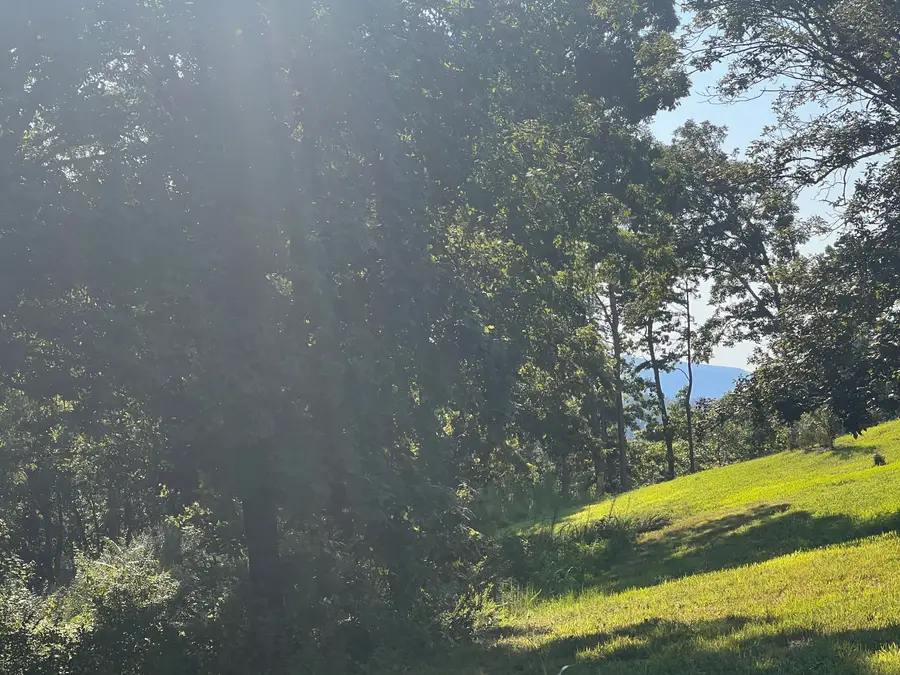 Lot 28 Watauga Lane, Birchwood, TN 37308 - #2
