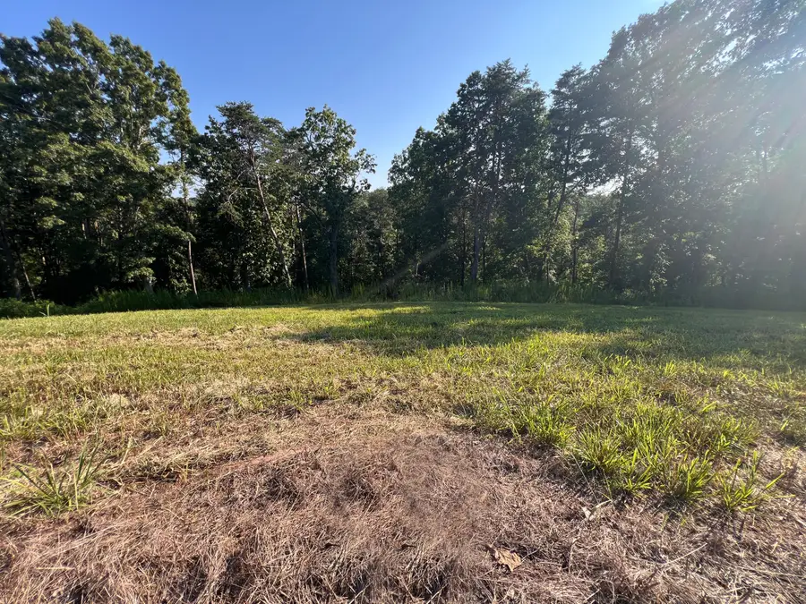 Lot 29 Watauga Lane, Birchwood, TN 37308 - #3