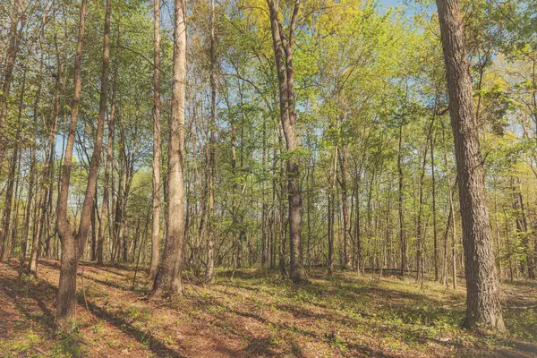 0 Howard Huttsell Lane, Spring City, TN 37381