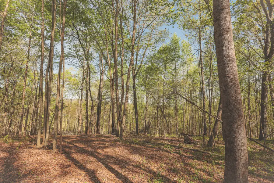 0 Howard Huttsell Lane, Spring City, TN 37381 - #2