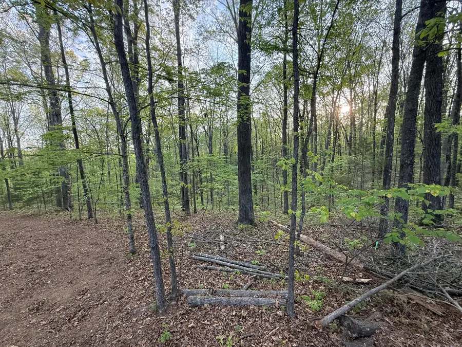 00 Sloan Gap Road, Ocoee, TN 37361 - #2