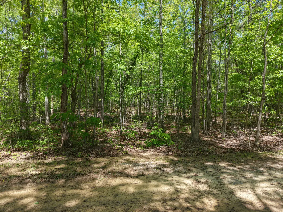 00 Jim Black Drive, Old Fort, TN 37362 - #1