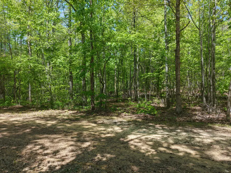 00 Jim Black Drive, Old Fort, TN 37362 - #3
