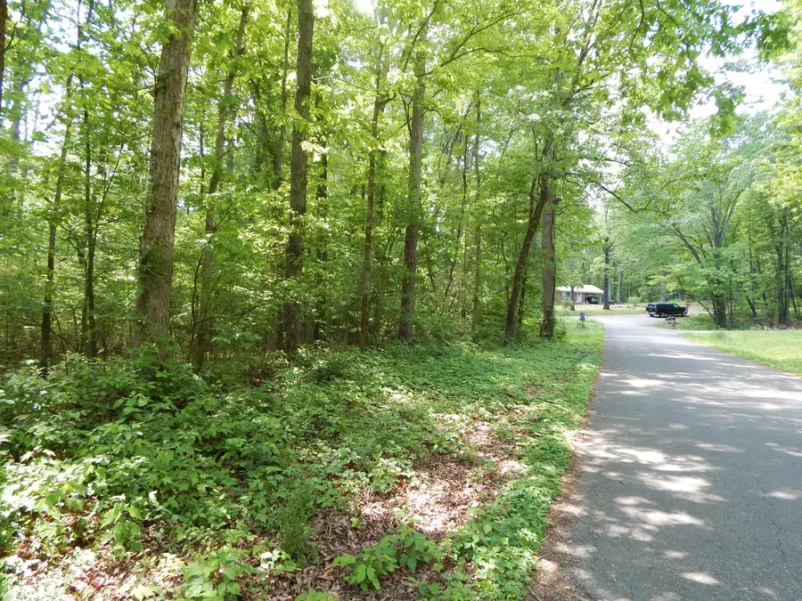 0 County Road 147, Riceville, TN 37370 - #3