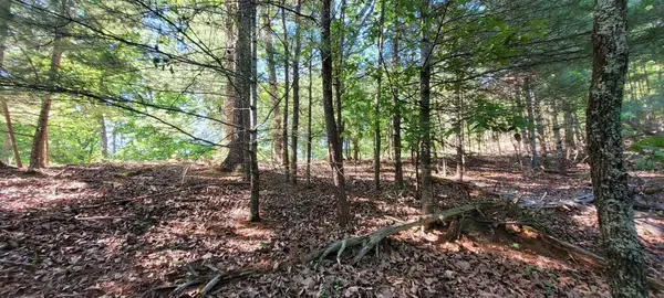 1.23 Acres Dogwood Lane, Spring City, TN 37381