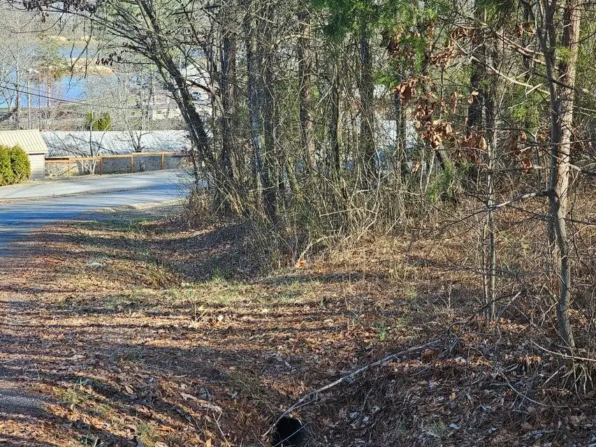 Lot 8 Kittiwake Place Nw, Georgetown, TN 37336 - #3