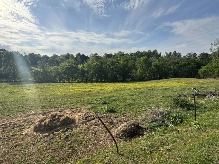 644 Southard Street, Tellico Plains, TN 37385 - #3