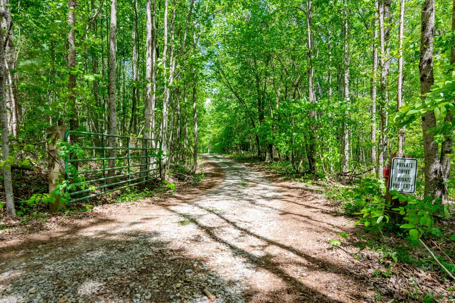 1867 Big Ridge Road, Spring City, TN 37381 - #3