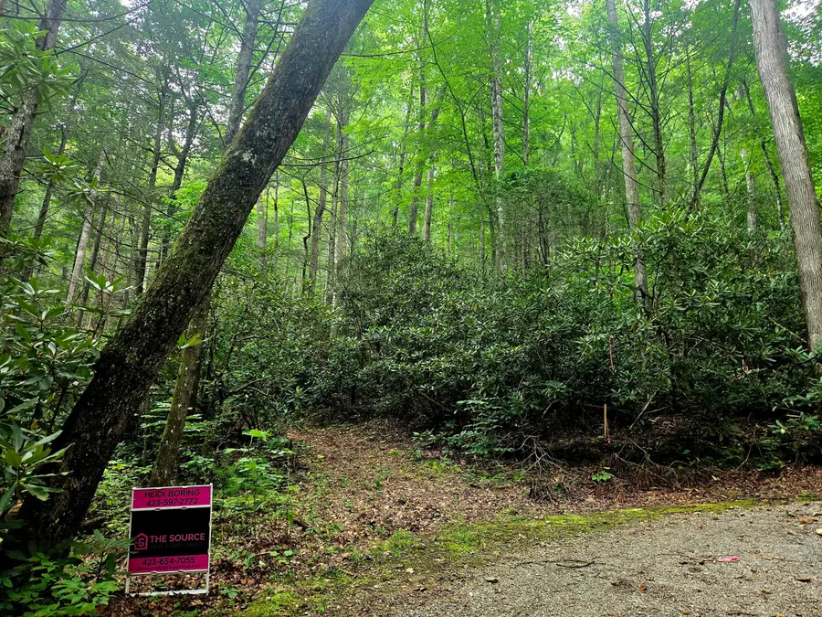 0 Holder Cemetery Road, Tellico Plains, TN 37385 - #3