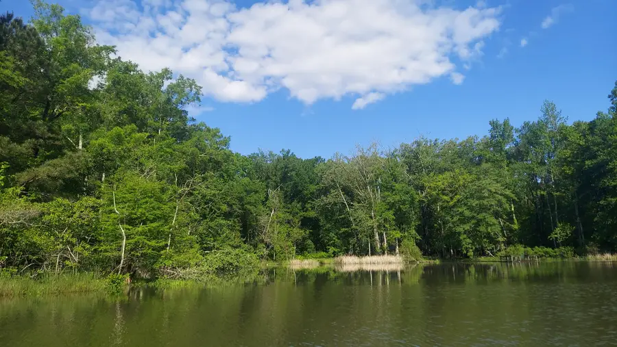 Lot 4 & 5 Warren Lane, Decatur, TN 37322 - #2