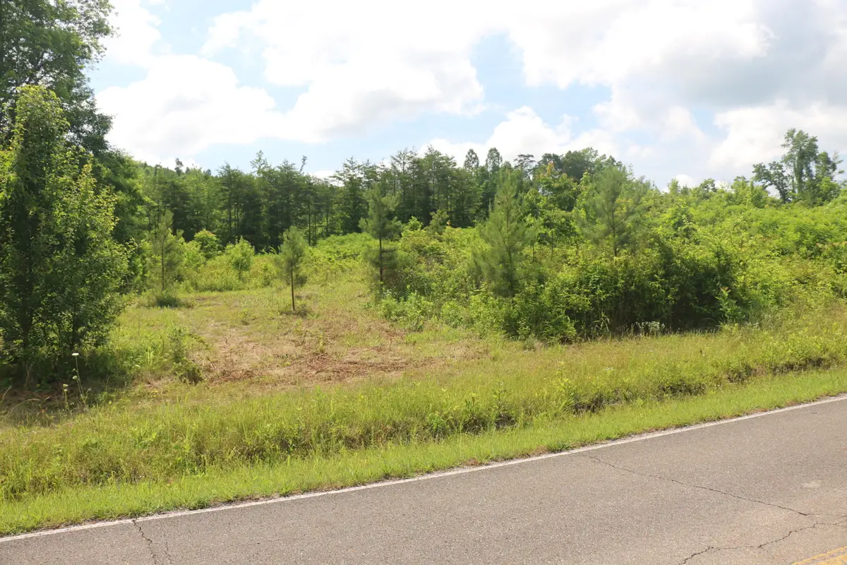 Tract 2 N Nopone Valley Road, Decatur, TN 37322 - #1