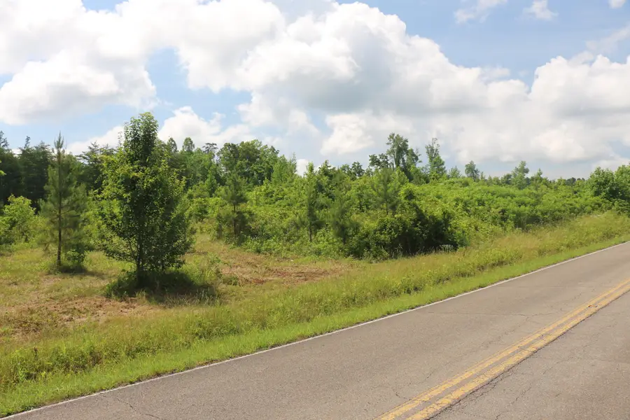 Tract 2 N Nopone Valley Road, Decatur, TN 37322 - #2