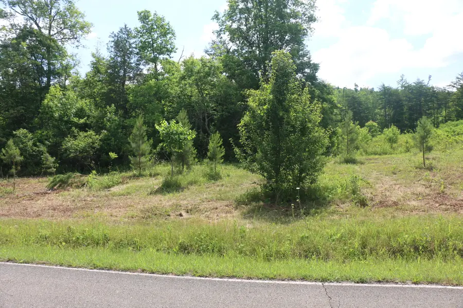 Tract 2 N Nopone Valley Road, Decatur, TN 37322 - #3