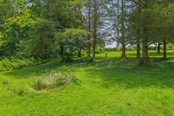 000 Buck Brown Street, Englewood, TN 37329