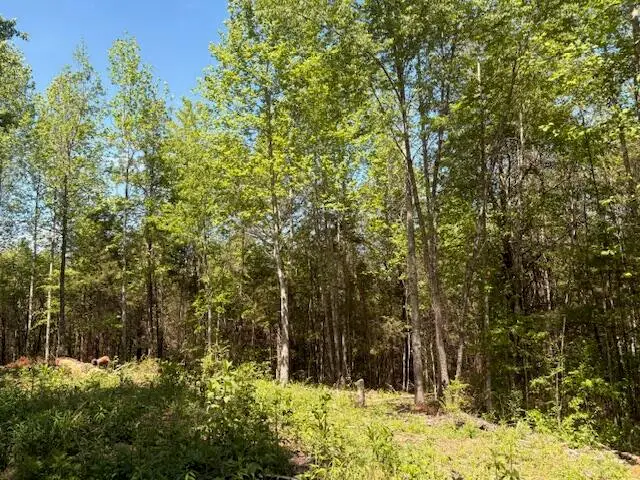 Lot 12 Bivens Court, Niota, TN 37826 - #2