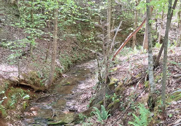 374 Payne Road, Tellico Plains, TN 37385